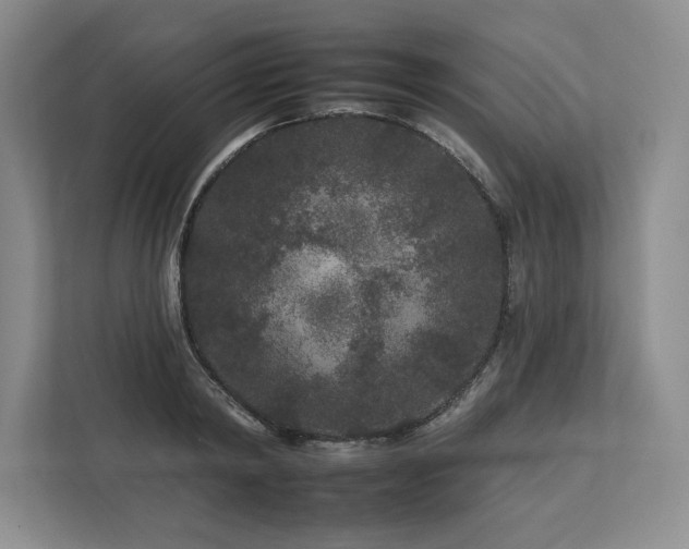 X0000112930798200908241259