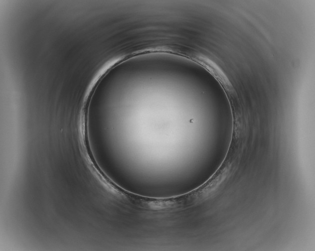 X0000112930804200908241259