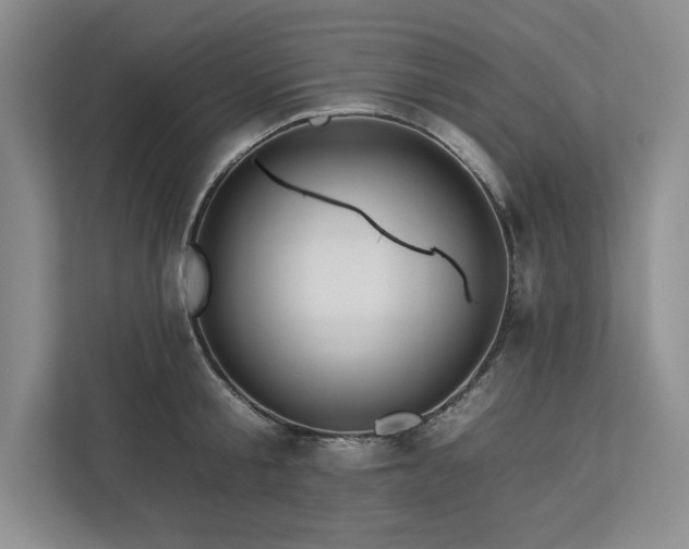 X0000112930805200908241259