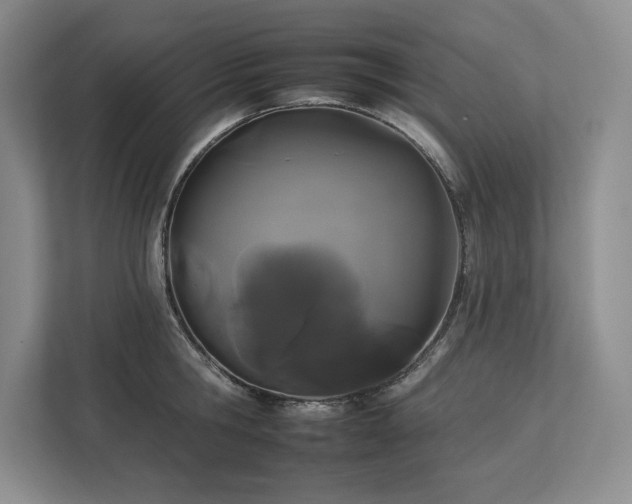 X0000112930806200908241259