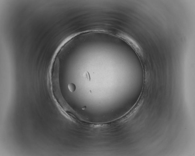 X0000112930808200908241259