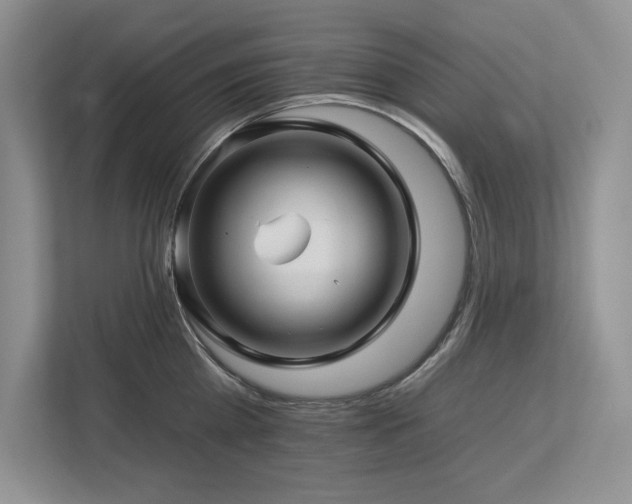 X0000112930809200908241259