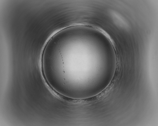 X0000112930811200908241259