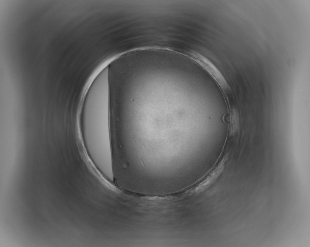 X0000112930812200908241259