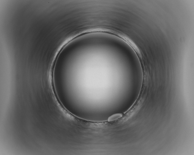 X0000112930813200908241259