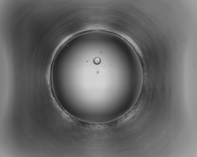 X0000112930815200908241259