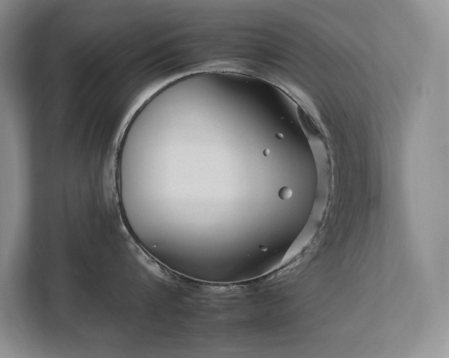 X0000112930816200908241259