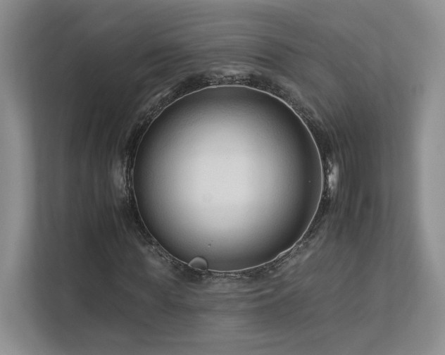 X0000112930819200908241258