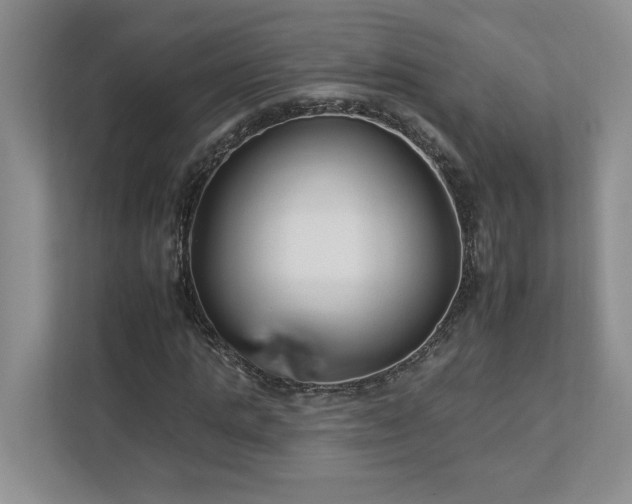 X0000112930821200908241258