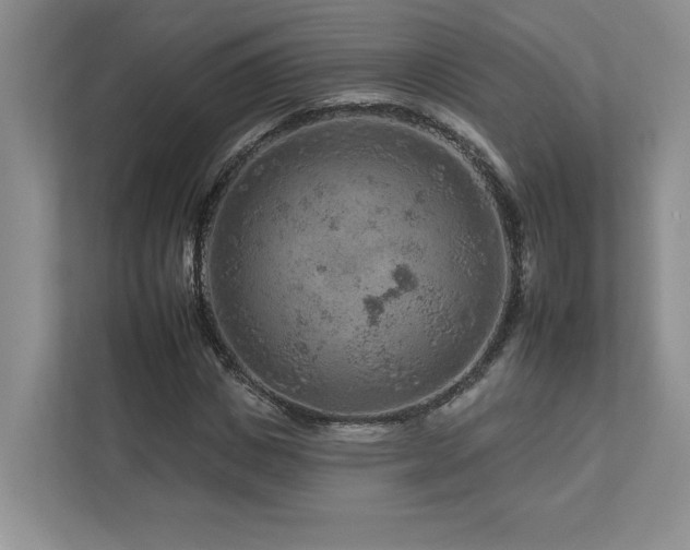X0000112930825200908241258