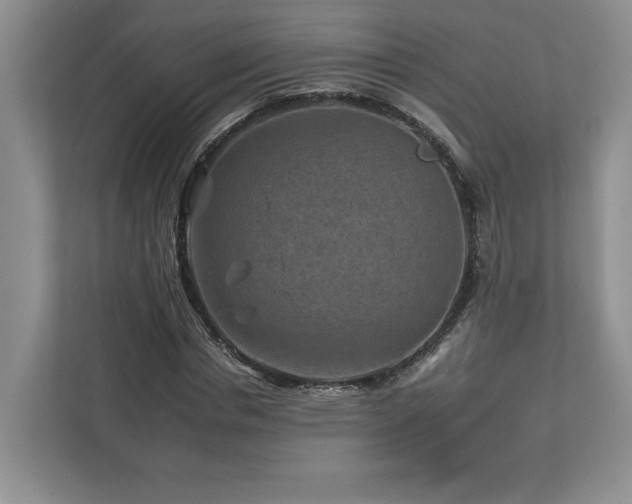 X0000112930826200908241258