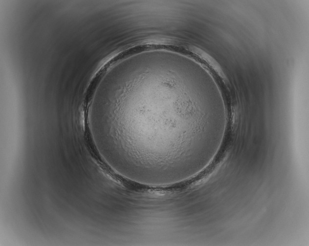 X0000112930829200908241258