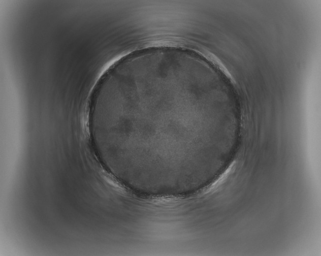 X0000112930830200908241258