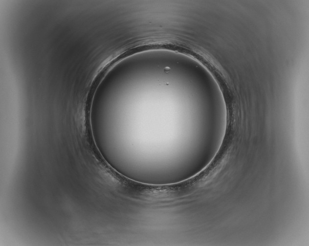 X0000112930834200908241258