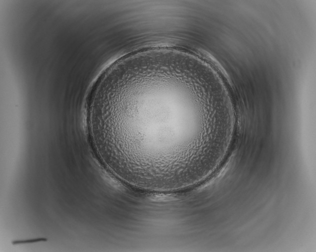 X0000112930835200908241258