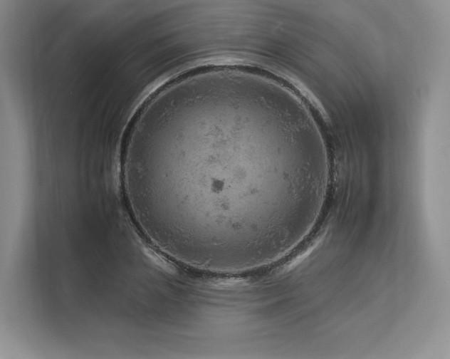 X0000112930837200908241259