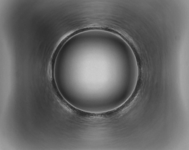 X0000112930838200908241259