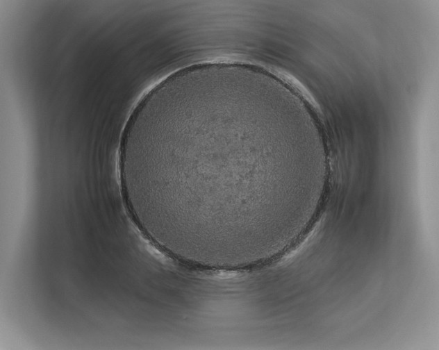 X0000112930839200908241259