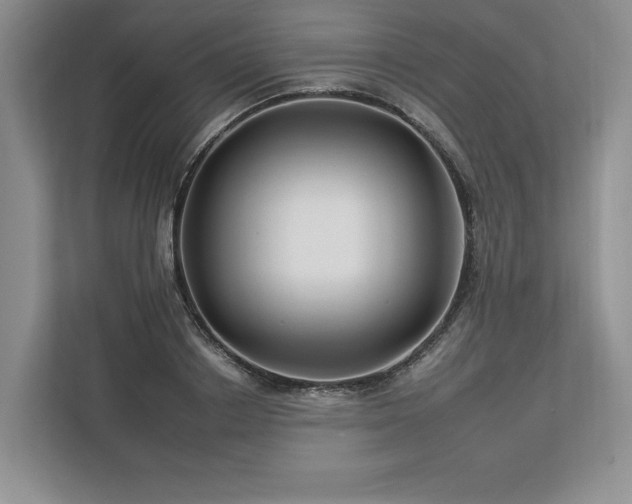 X0000112930842200908241259