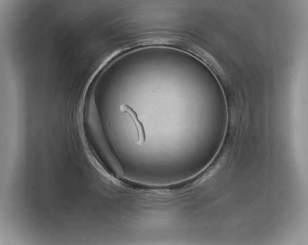 X0000112930844200908241259