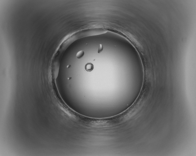 X0000112930846200908241259