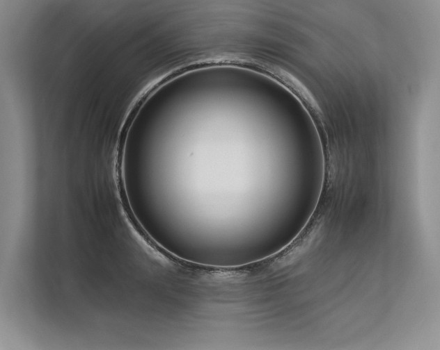 X0000112930847200908241259