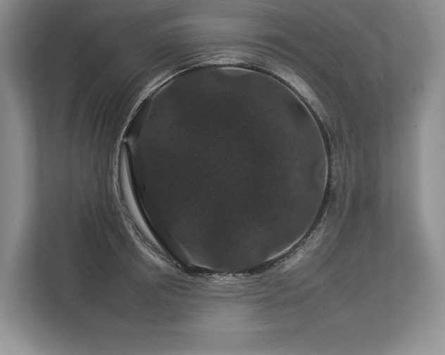 X0000112930850200908241259