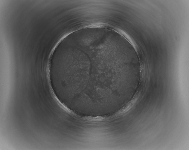 X0000112930851200908241259