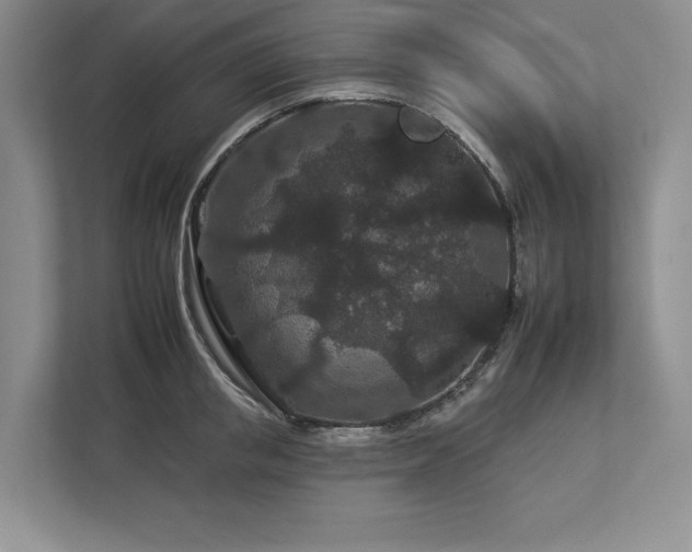 X0000112930853200908241259