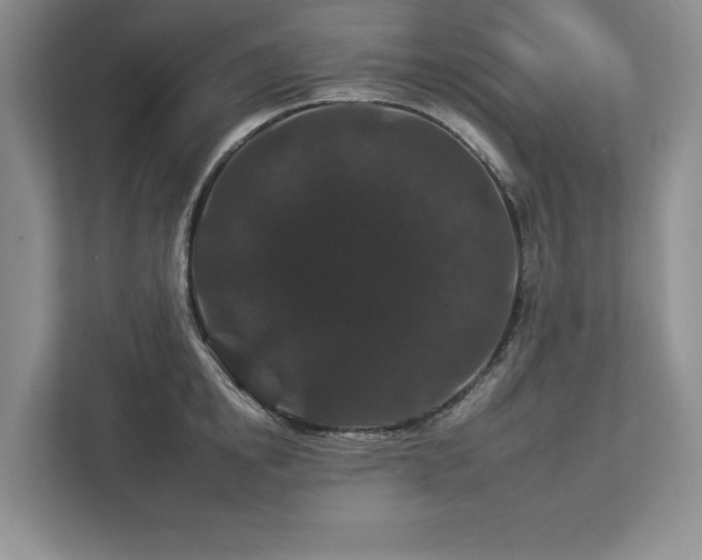 X0000112930854200908241259