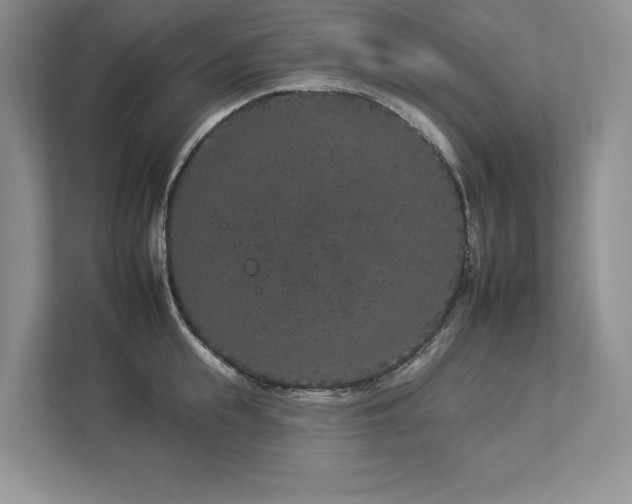 X0000112930855200908241259