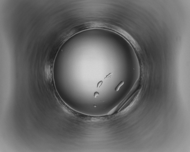 X0000112930857200908241259