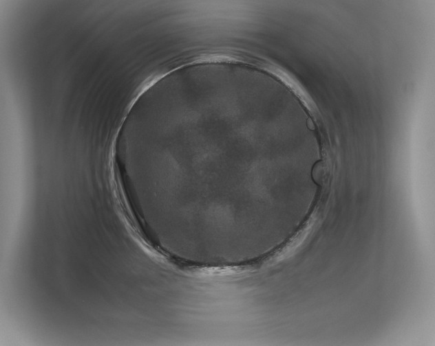 X0000112930858200908241259