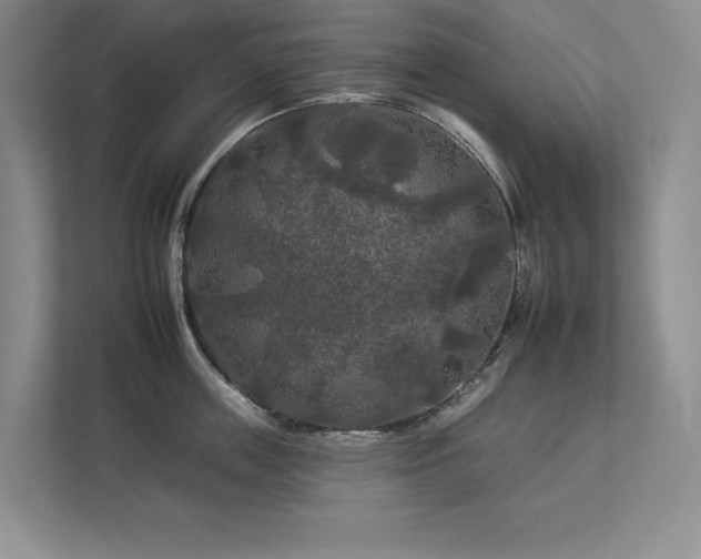 X0000112930859200908241259