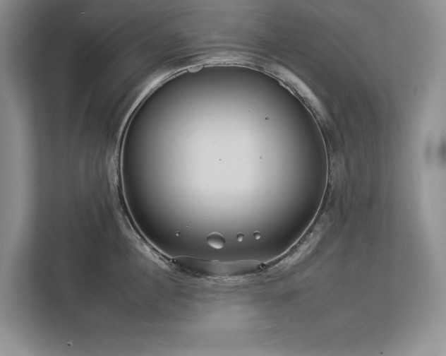 X0000112930860200908241259