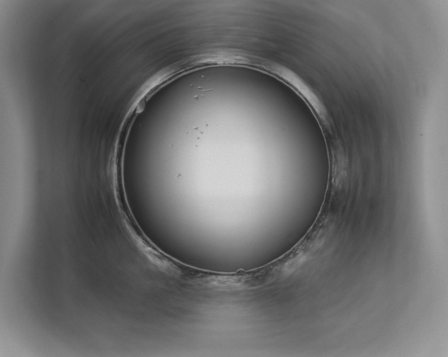 X0000112930861200908241259