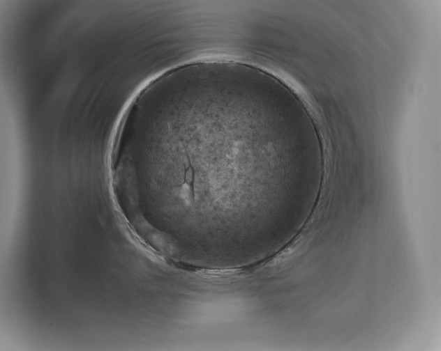 X0000112930864200908241259