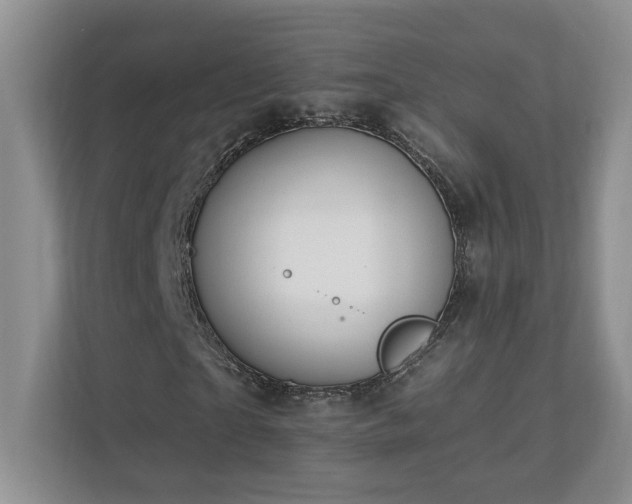 X0000112930865200908241258