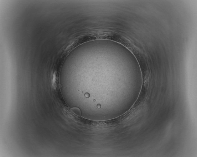 X0000112930866200908241258