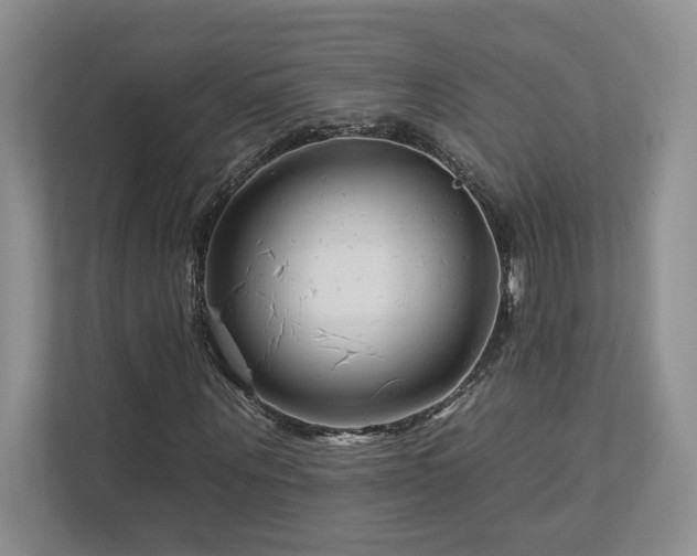 X0000112930867200908241258