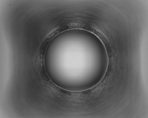 X0000112930870200908241258