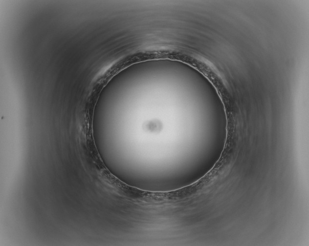 X0000112930871200908241258