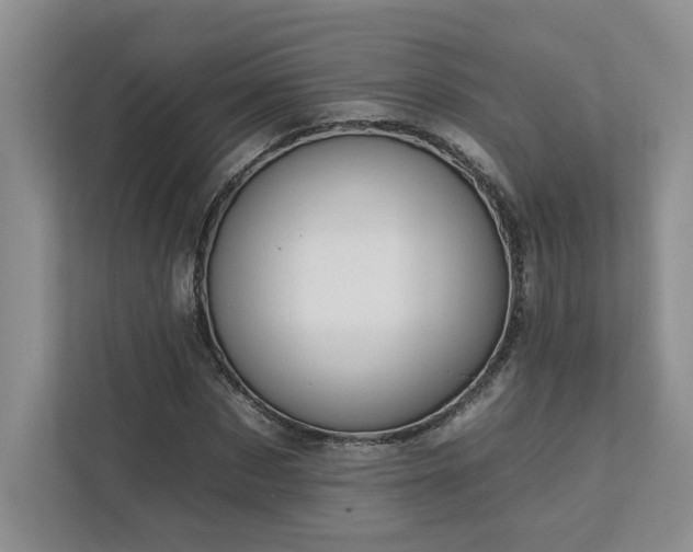 X0000112930873200908241258