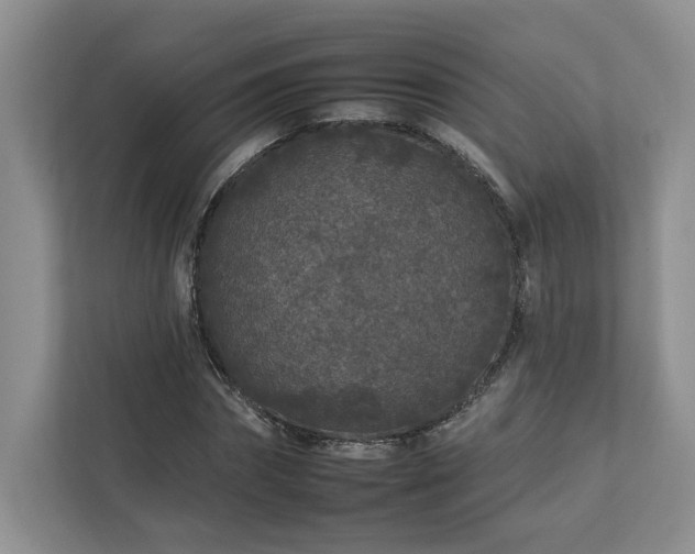 X0000112930874200908241258