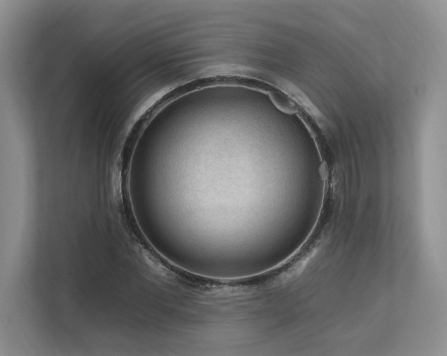 X0000112930877200908241258
