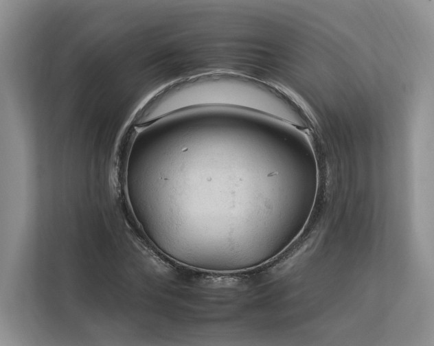 X0000112930878200908241258