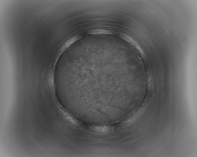 X0000112930882200908241258