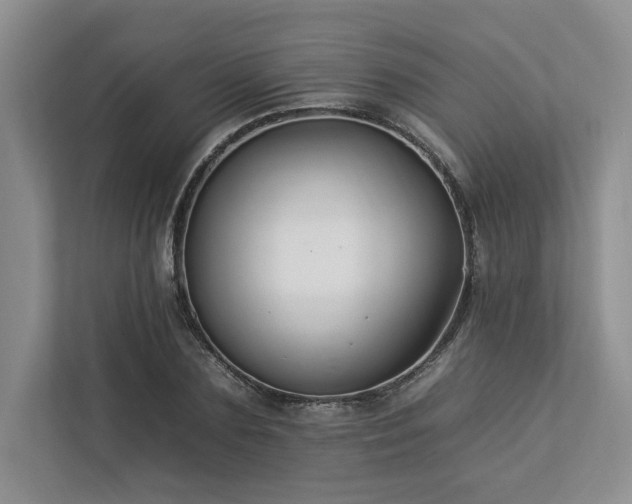 X0000112930883200908241258
