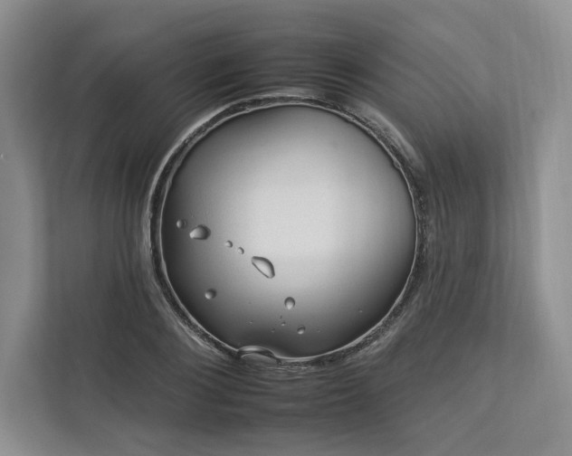 X0000112930884200908241258