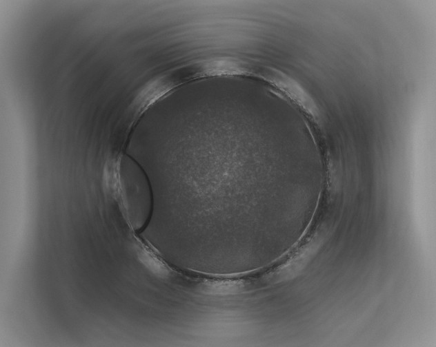 X0000112930889200908241258